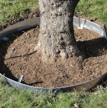 ENTOURAGE ARBRE ROND ACIER