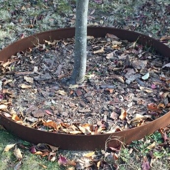 ENTOURAGE ARBRE ROND CORTEN